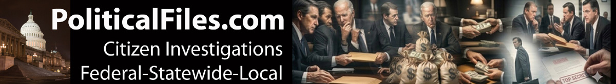 Political Files Political Investigations and Integrity Checks